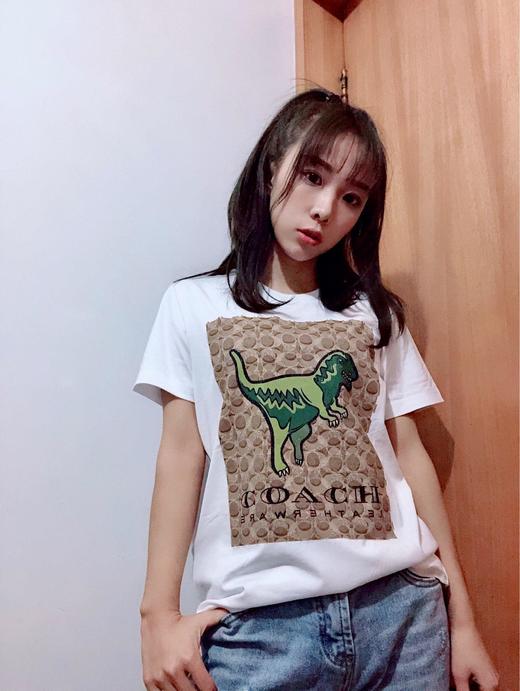 点此购买 coach女款恐龙系列Tee   创 114418 商品图2