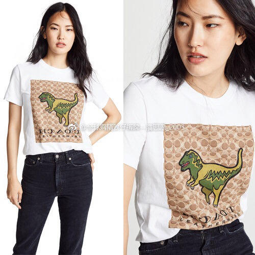 点此购买 coach女款恐龙系列Tee   创 114418 商品图6