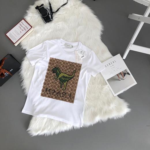 点此购买 coach女款恐龙系列Tee   创 114418 商品图10