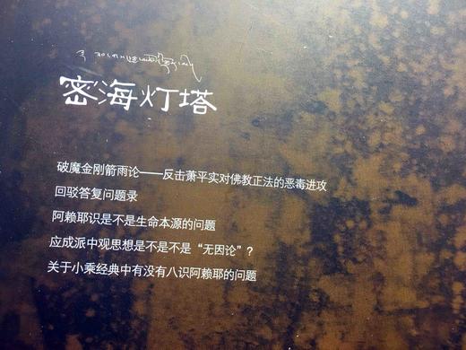 密海灯塔一 二册多识仁波切驳论文集 藏汉双通，显密圆融的佛学大师带您领略藏传佛教金刚乘真理宝殿。以真理的光芒指引迷途的航者。 商品图8