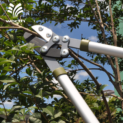 专业伸缩高枝剪-1222