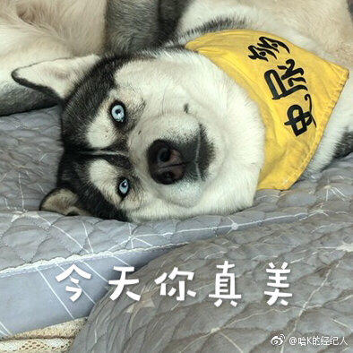 测试111 复制 商品图0