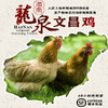 龙泉 海南文昌鸡 1000g 商品缩略图0
