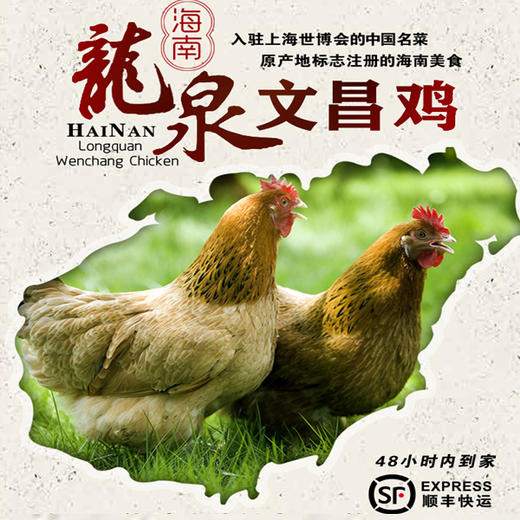 龙泉 海南文昌鸡 1000g 商品图0