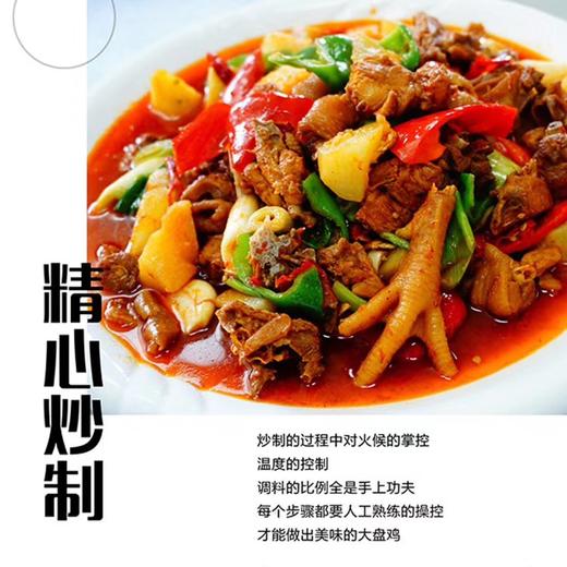 新疆正宗沙湾原味大盘鸡（加热即食）500g 商品图2