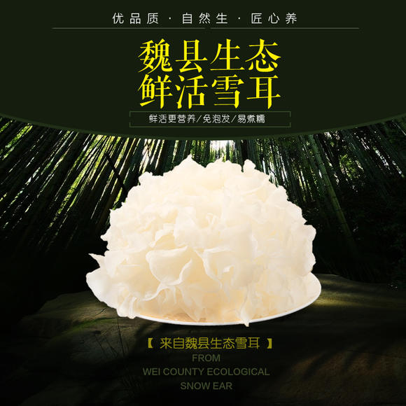 安阳鲜活银耳雪耳口感软糯香滑爽口胶质丰富美食排行魏县图片