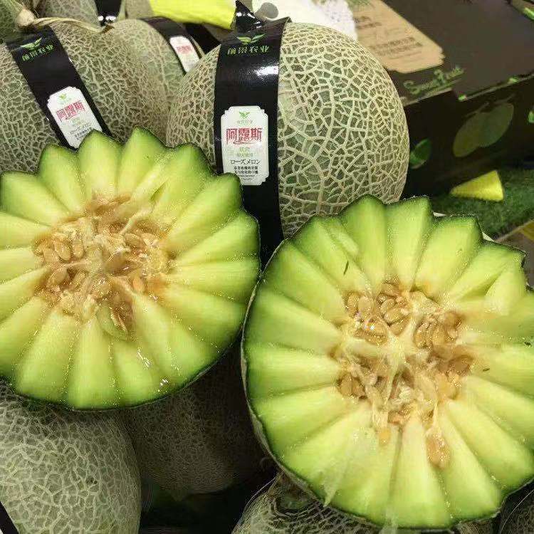 阿露斯蜜瓜(整个)