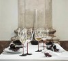 奥地利手工 RIEDEL 限量红领结手工系列 商品缩略图5