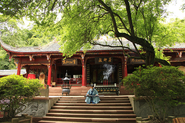 9元抢蒙顶山景区春游特价,含门票+树冠漫步a线+采茶制茶,有效期到5月