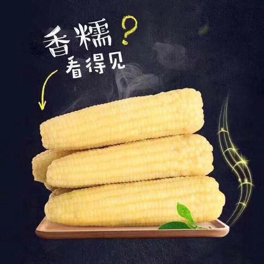 东北甜糯玉米 金奖销量王，香糯甜 ，非转基因，农场有机种植，粗纤维营养早餐， 商品图2