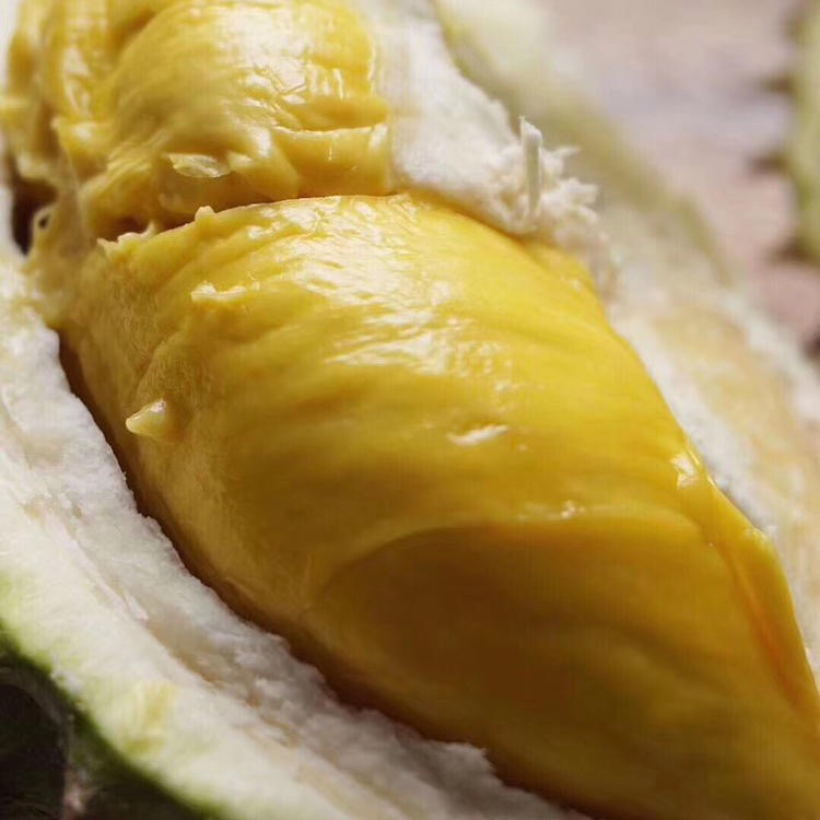 泰国当季托曼尼榴莲