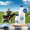 兰维乐新西兰进口巴氏鲜牛奶月套餐1L装 X 8桶 商品缩略图1