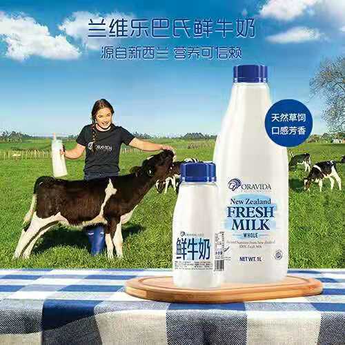 兰维乐新西兰进口巴氏鲜牛奶月套餐1L装 X 8桶 商品图1