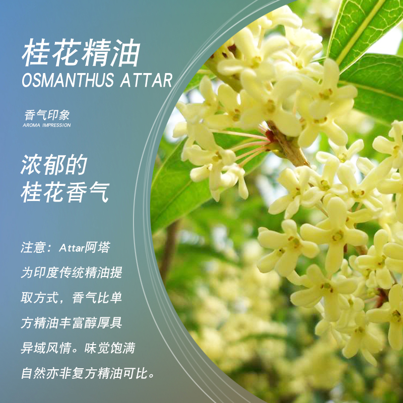 satya印度attar桂花精油5ml古法阿塔低温萃取芳香精油