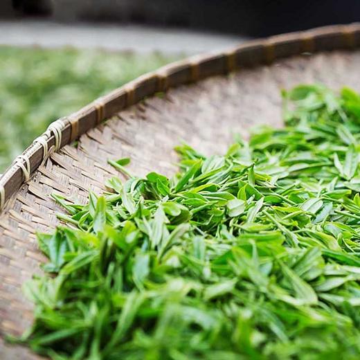 2019年明前老树龙井茶 商品图1