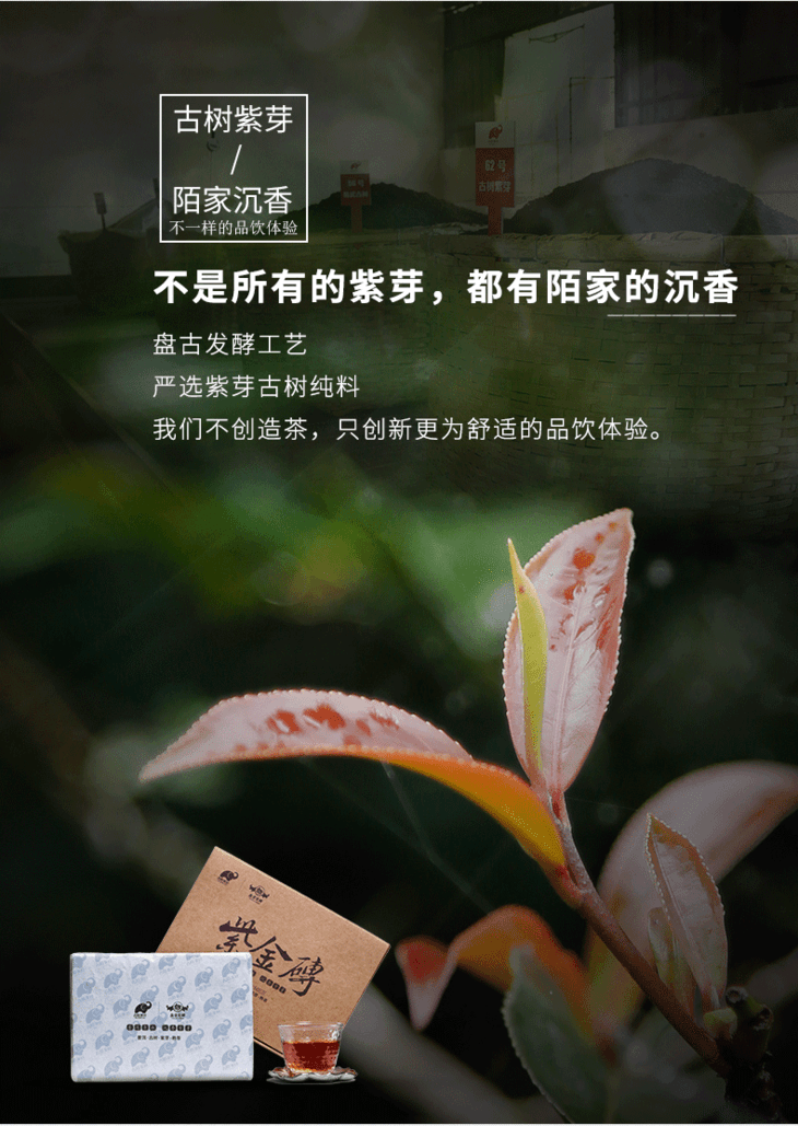 古陌紫金砖2017年普洱熟茶古树紫芽660克茶砖