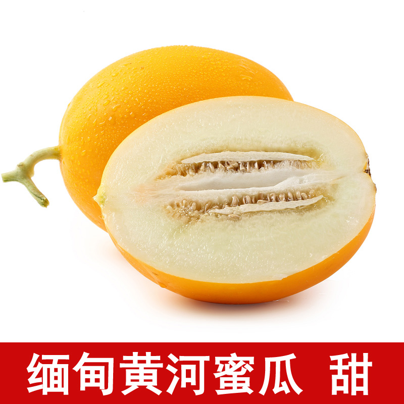 缅甸黄河蜜瓜5-6斤