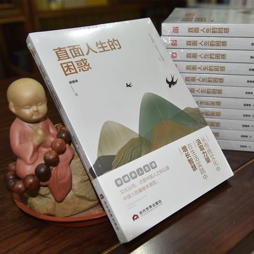 郭继承老师最新版《直面人生的困惑》每个人成长路上必读的经典书籍！ 商品图3