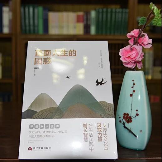 郭继承老师最新版《直面人生的困惑》每个人成长路上必读的经典书籍！ 商品图0