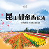 【妈网春游】 3/30 3/31 大巴接送 昆山郁金香文化节 绝美郁金香花海，周末带上家人一起赏花海。 商品缩略图0
