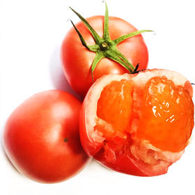 阅农 | 烟台海阳 普罗旺斯 沙瓤西红柿 肥厚多汁 现摘现发4.5斤装