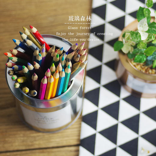 LY北欧铁罐大号（不含贴纸） 商品图4