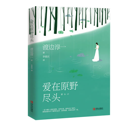 爱在原野尽头 （渡边淳一） 商品图0