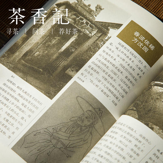 茶香记  《水乡绍兴》 人文历史  建筑艺术  文化随笔   摄影  乡土中国 商品图4
