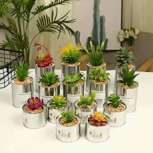 LY北欧铁罐大号（不含贴纸） 商品图0