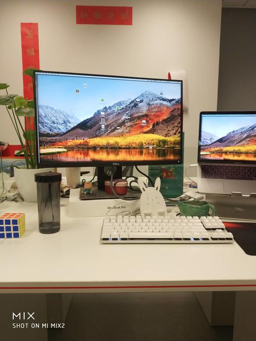 dffggb 商品图0