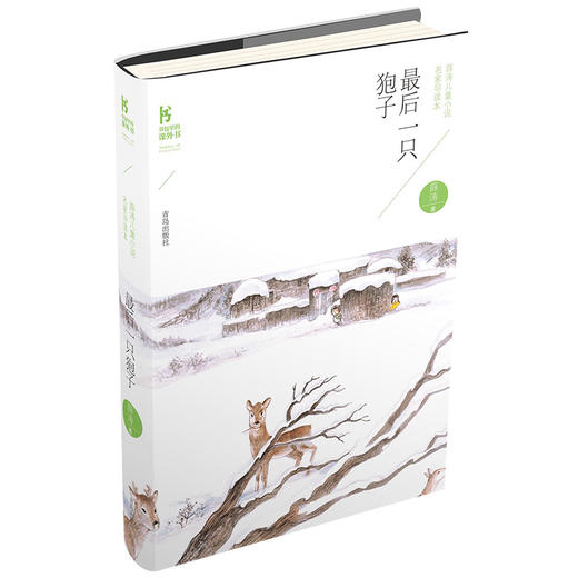 薛涛儿童小说名家导读本系列（小城池+天空之城+最后一只狍子） 商品图3