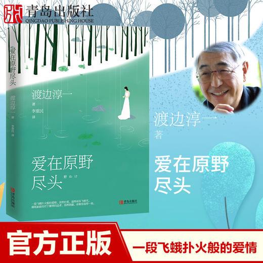爱在原野尽头 （渡边淳一） 商品图1