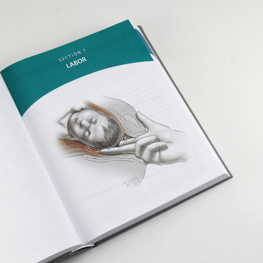 威廉姆斯产科学（第25版）（英语版）威廉姆斯、医学、内科学、妇产科学、妇产科医生、医生、医学生 商品图4