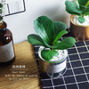 LY北欧铁罐大号（不含贴纸） 商品缩略图3