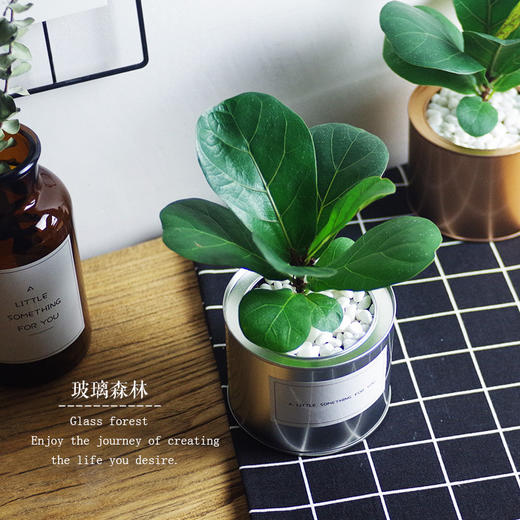 LY北欧铁罐大号（不含贴纸） 商品图3