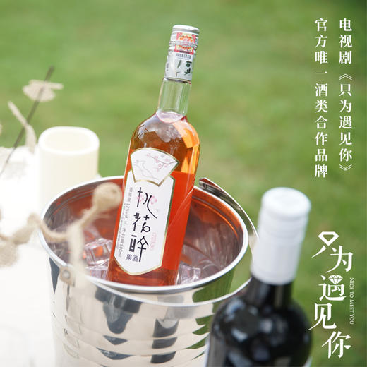 【泸州老窖酒名堂】12度 桃花醉（青色版）果酒 500ml 商品图3