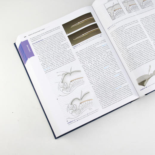 威廉姆斯妇科学（第3版）（英文版）威廉姆斯、医学、内科学、妇产科学、妇产科医生、医生、医学生 商品图3