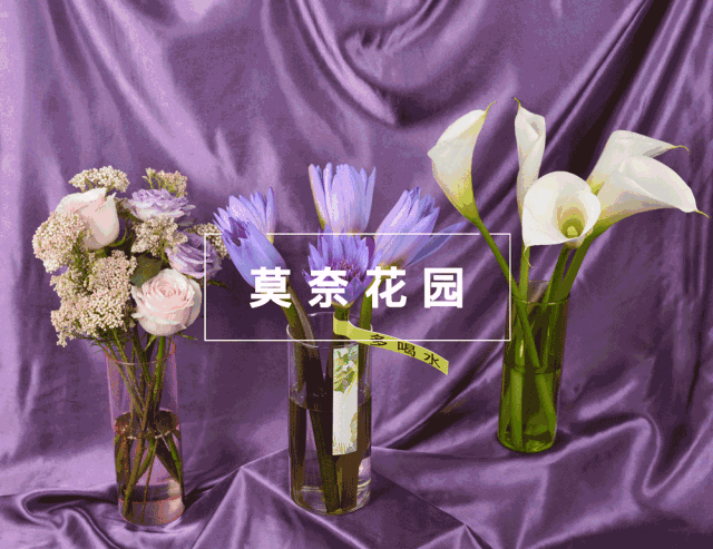 9元=1只花瓶 3束花丨为爱家花点时间!