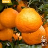 01-送礼商品 商品缩略图0
