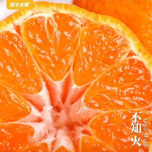 111 商品图2