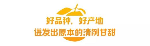 111 商品图9
