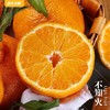 普通商品-CS-商品推荐 商品缩略图1