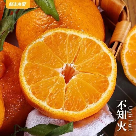 普通商品-CS-商品推荐 商品图1