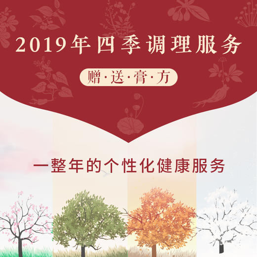 【复购】2019年四季调理服务（膏方） 商品图0