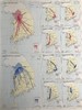 韩国国家地图集 配大量插图 布面精装8开带书匣 商品缩略图8