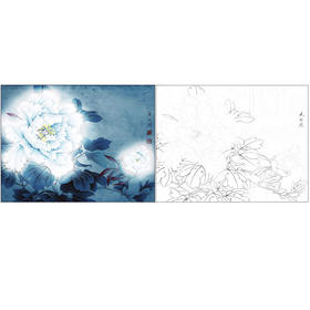 李晓明工笔花鸟白描底稿-牡丹《夜光白》--斗方小品册页-有步骤图及文字解析-KD43