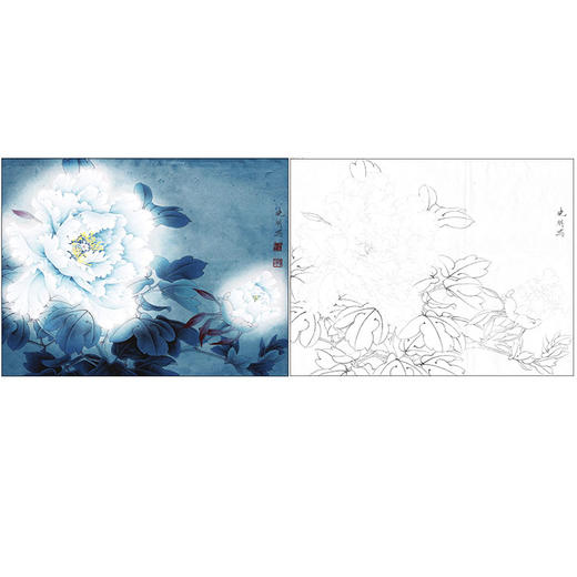 李晓明工笔花鸟白描底稿-牡丹《夜光白》--斗方小品册页-有步骤图及文字解析-KD43 商品图0