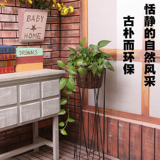 线条绿萝架 商品图1