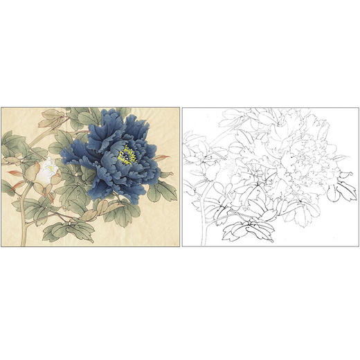 李晓明工笔花鸟描底稿-牡丹《墨海青龙》-斗方小品册页-有步骤图及文字解析-KD41 商品图0
