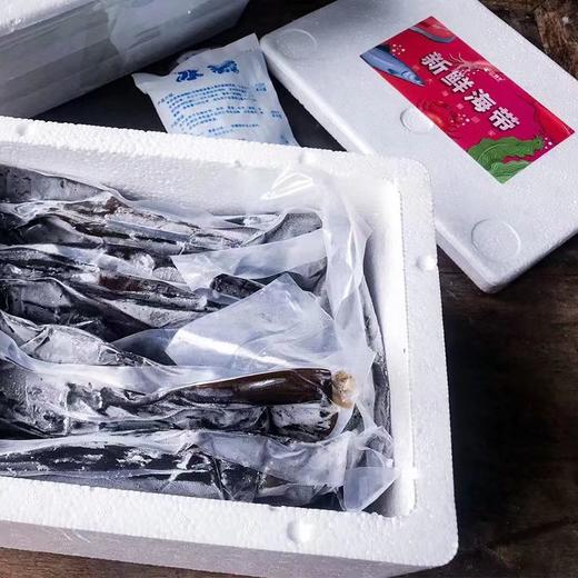 【海带就应鲜着吃！】农捕手 嫩芽级新鲜海带 | 3月嫩芽期的海带，从半岛海域直达到你的餐桌，错过等一年！ 商品图2